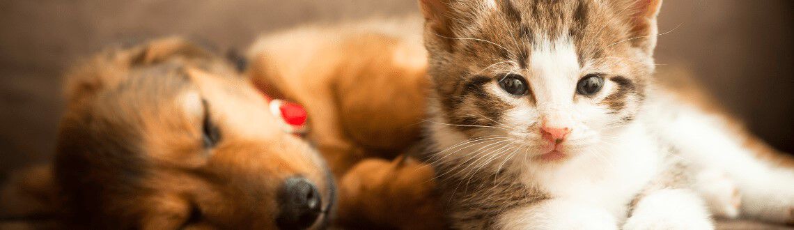 [paste advice page name here]